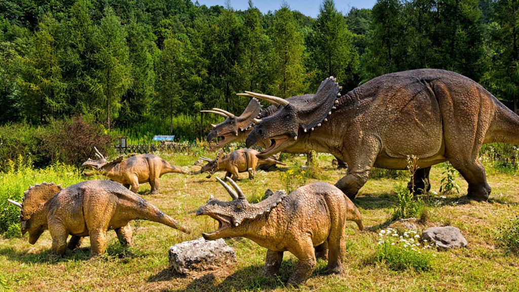 INKA Apartamenty i Pokoje nad Morzem w Łebie